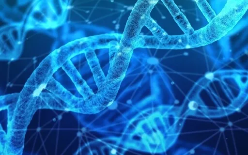 Securing Our Inheritance