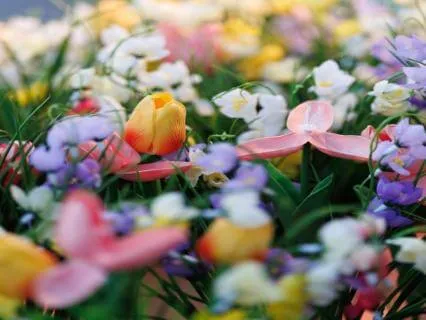 See More Clearly With Kindness, Insight, And Wisdom (6.2.26)
