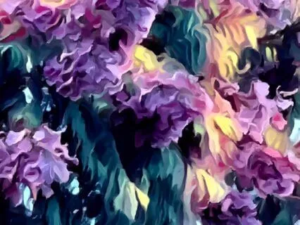 Appreciate The Beauty In Life