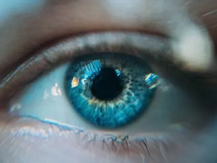 See The World From The Eyes Of The Creator