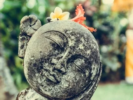 Seed From The Earth To Heal Your Heart