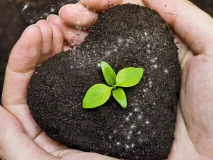 Seeds Of Desire - SOMA Grounding Meditation