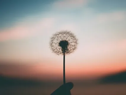 Seeds Of Growth: Embracing Change And Renewal