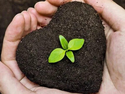 Seeds of Love Meditation for Children