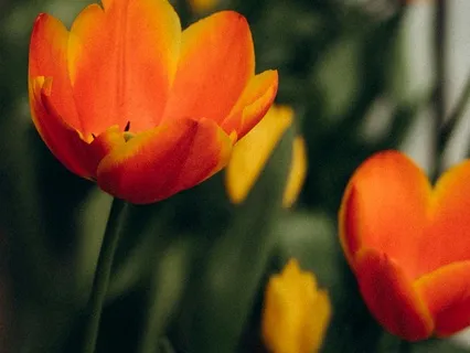 Seeing Clearly Through Your Feelings - March 04