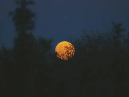 Seeing In The Dark: Staying Present With Difficult Emotions