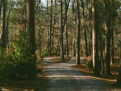 Seeing Objects And Beings As Not Mine