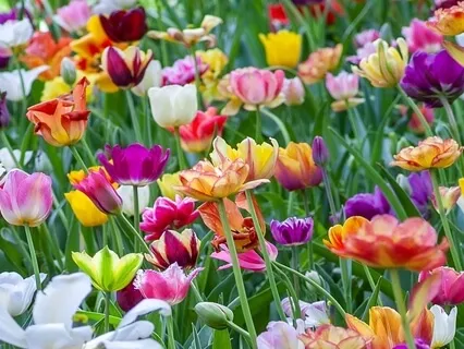 Seeing Our True Self