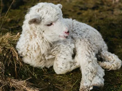 Seeing The Bigger Picture