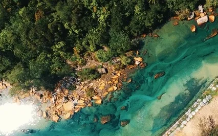 Seeing The False Empties The Mind, Which Needs Observation