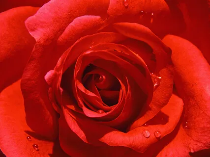 Seeing The Lesson In Every Moment