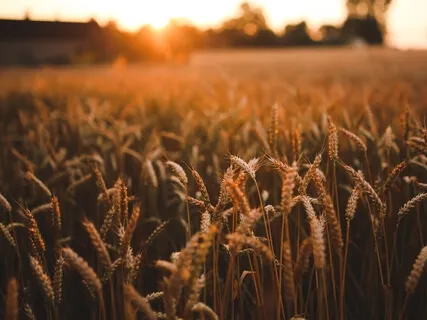 Seeing The Places Where Grief Hides Within