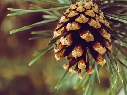 Seeing The Same Thing Differently - Dec 09