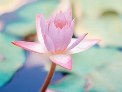 Seeing Through The Heart’s Eyes