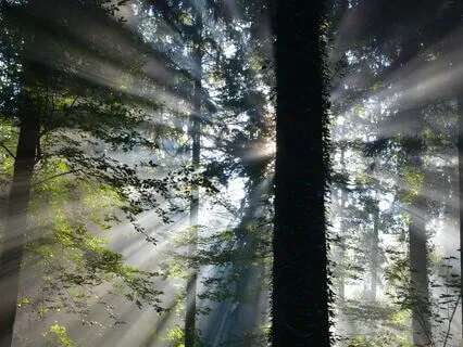 Seeing Through The Veil