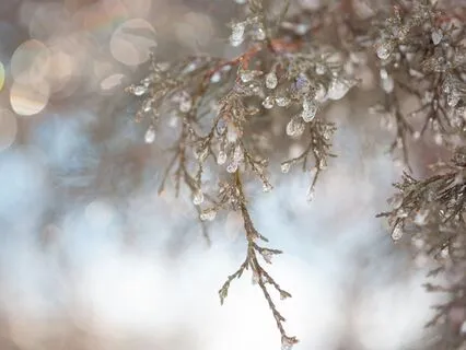 Seeing Winters Depression Differently