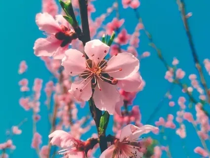 Seeing With Fresh Eyes