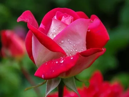 Seeing With New Eyes - June 26