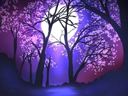 Seek The Magician Of Wishes 