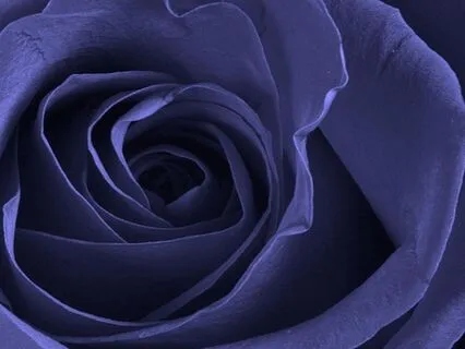 Seek To Know The Truth