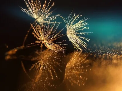 Seek Your Truth Soul Letter No. 1