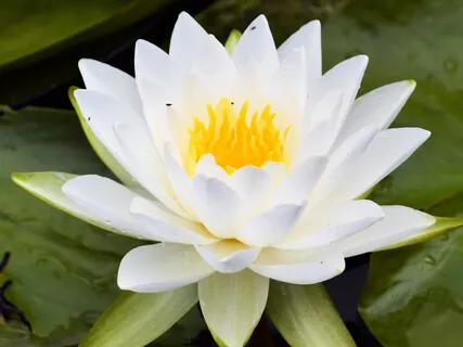 Seeking Answers In A Different Way