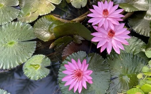 Seeking Calm - Meditation For Soothing Anxiety