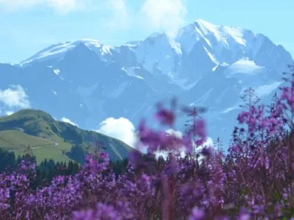 Seeking Divine Guidance: Opening Up The Channel To Receive 