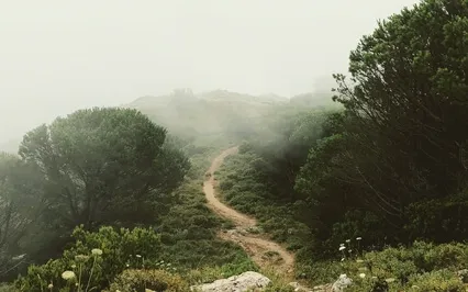 Seeking Guidance From God