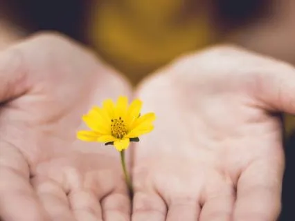 Seeking Out The Pleasant Meditation (With Background Music)