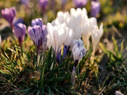 Seeking Shelter From Emotional Storms - Feb 10