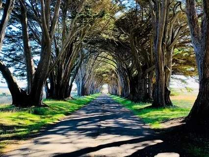 Seeking Acceptance Through Unity (1st Spiritual Principle)