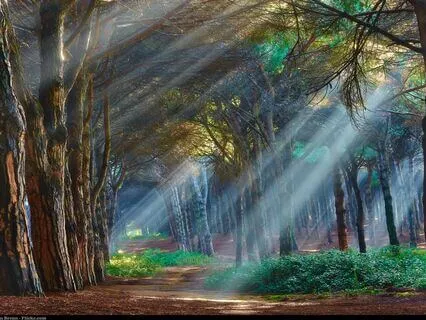 Segmented Breathing And Moving Meditation