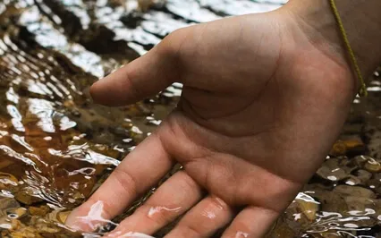 Seize The Moment Meditation