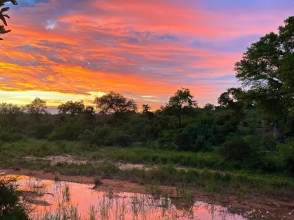 Selati River: Crickets & Frogs