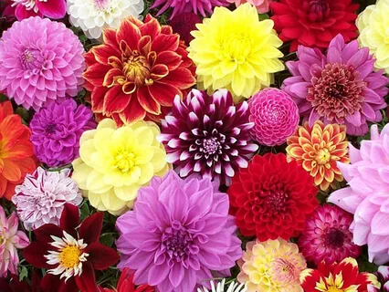 Self-Acceptance Meditation