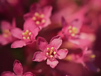 Self-Acceptance Music With Birds & Nature Sounds