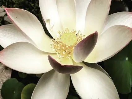 Self-Acceptance Meditation