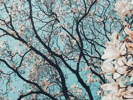 Self-acceptance – Returning Home