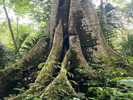 Self-Acceptance Teaching + Guided Practice