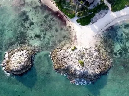 Self-Awareness For Beginners