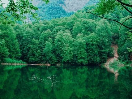 Self-Awareness Meditation