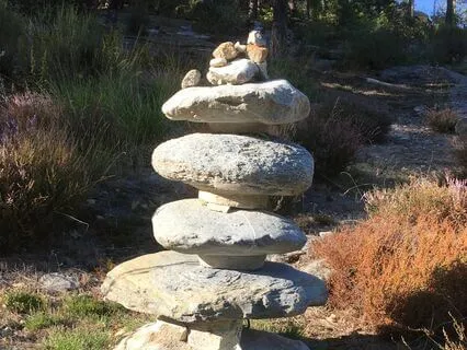 Self-Awareness Pause