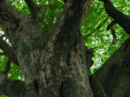 Self Awareness Talk: The Yoga Of Resilience For Challenges