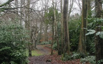 Self-Belief Activation