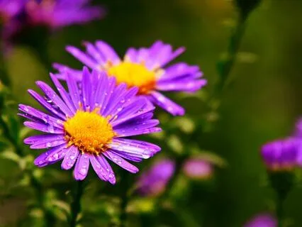 Self-Care Affirmations: 5-Minute Meditation To Reset