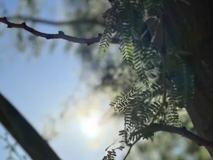 Self-Care Affirmations