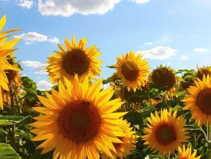 Self Care Day 3 Body Scan