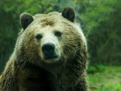 Self-Care For Helpers: Why Putting Yourself First Matters