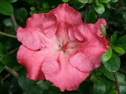 Self-Care For The Heart Chakra